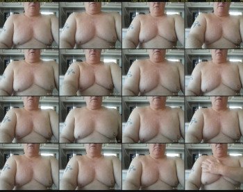milkingabull