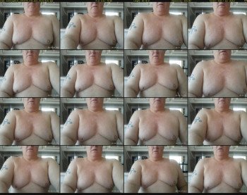 milkingabull