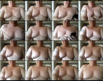 milkingabull