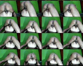 fiottis
