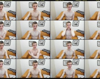 stephroleson