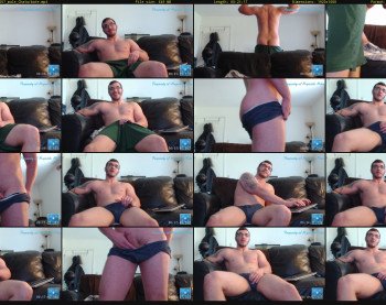 majestikmike