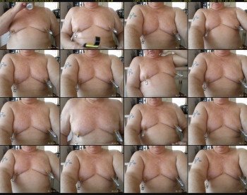 milkingabull