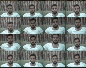 thaer2033