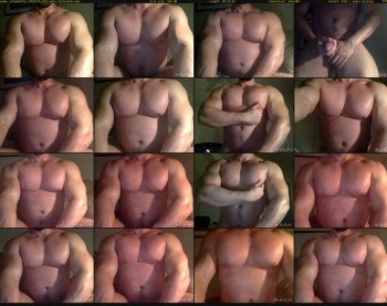 primebeefy