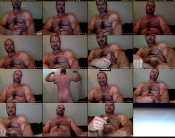 musclbear