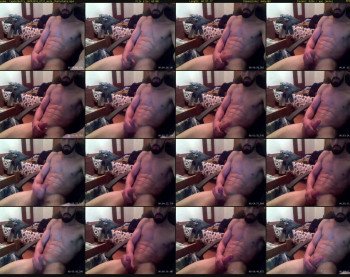tapdatbotty