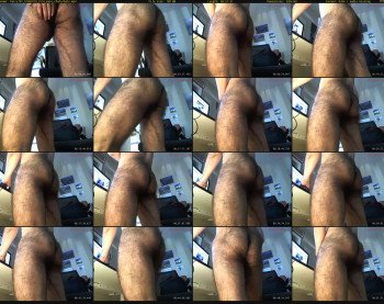hairy787