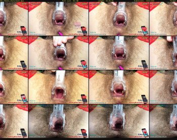 crazy_dreams