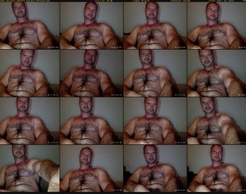 musclbear