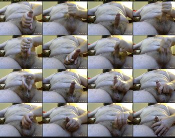 some_dingus