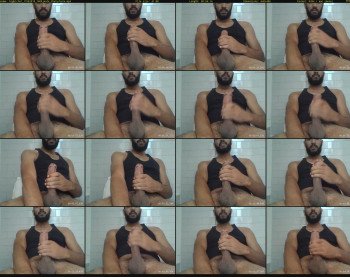 bigbicho7