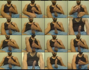 bigbicho7
