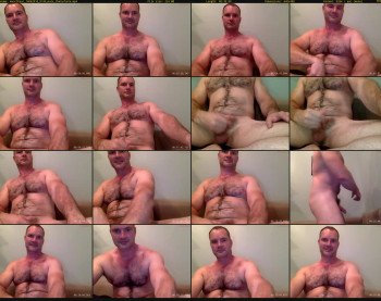 musclbear