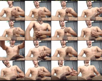 david_ox