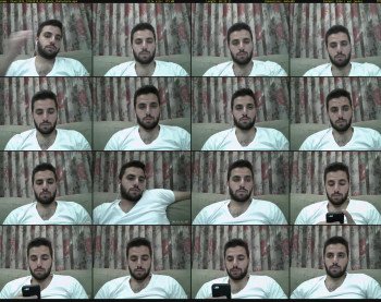thaer2033