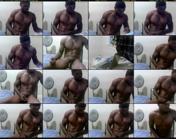 fit_kris_bbc