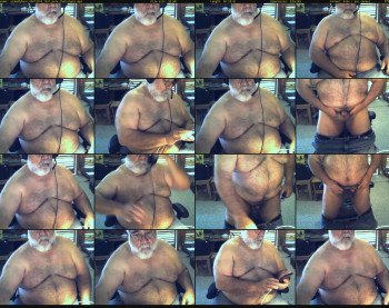 azdaddybear