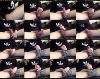 kiwi_cock43369