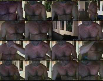 dutchhairybull