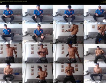 indomitablebeast