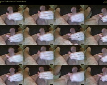 dantasticmrfox