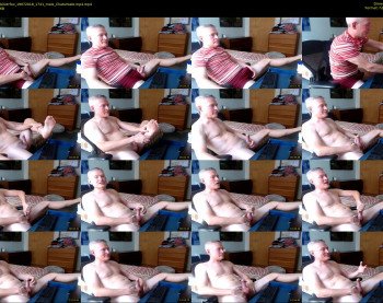 nakedsilverfox