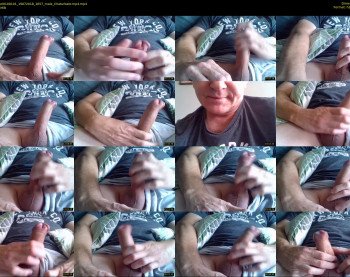 stevieel0100101