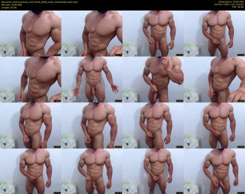 promuscles4u