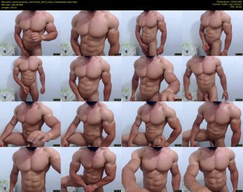 promuscles4u