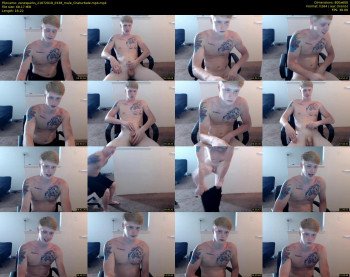 zanesparks