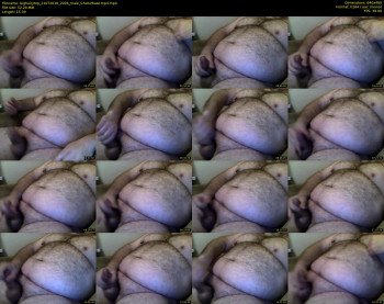 bighairytop