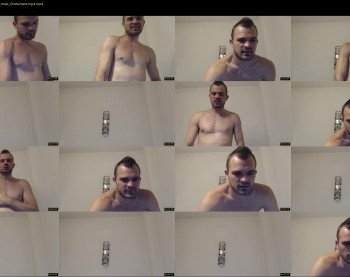 dltibers