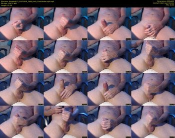 theswede77