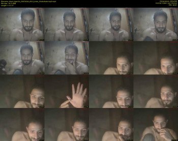 black_tiger33