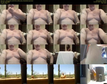 milkingabull