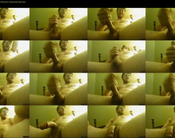 warrenstrips