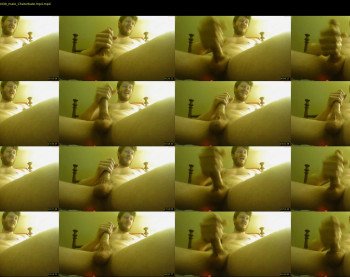 warrenstrips