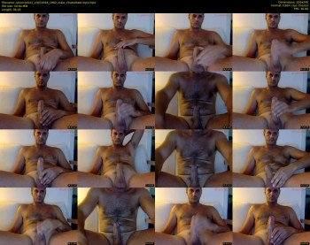 silviocock22