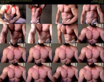 220muscled