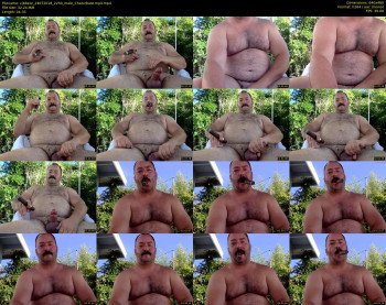 cjbbear