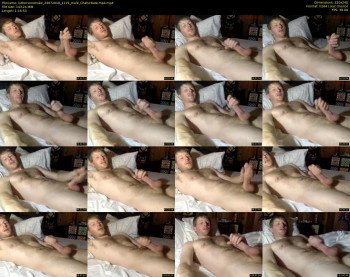 luthervonstroke