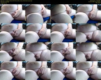 chubbyschubb