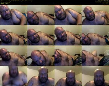 dabear66