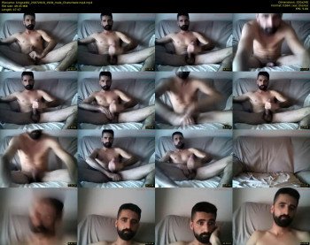 kingcat82