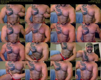 latinmusclebear