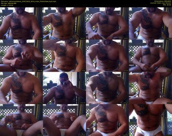 latinmusclebear