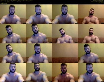 panda_muscle