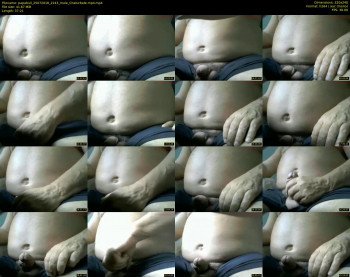 papabull