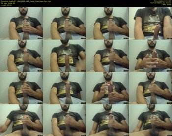 bigbicho7